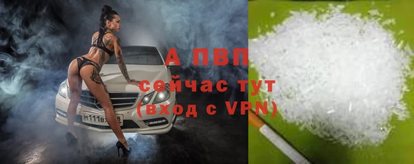 ешки Липки