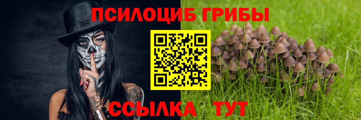 Изобильный  Галлюциногенные грибы Psilocybine cubensis  Псилоцибиновые грибы Cubensis  Вход с VPN 